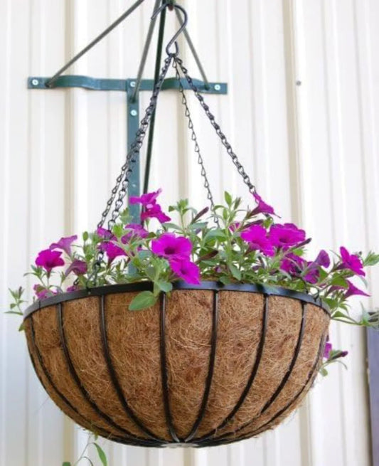 24 Inch Iron Hanging Basket, With Coco Moss Liner, 5 Set Pack